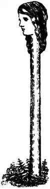 AAUG p62.png
